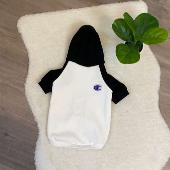 Benmei Other - NWT Doggy Sweatshirt